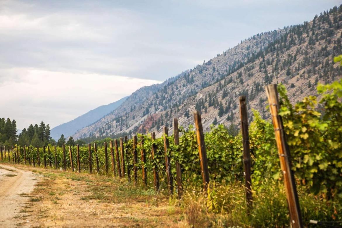 Similkameen Wild Resort & Winery Retreat Osoyoos Εξωτερικό φωτογραφία