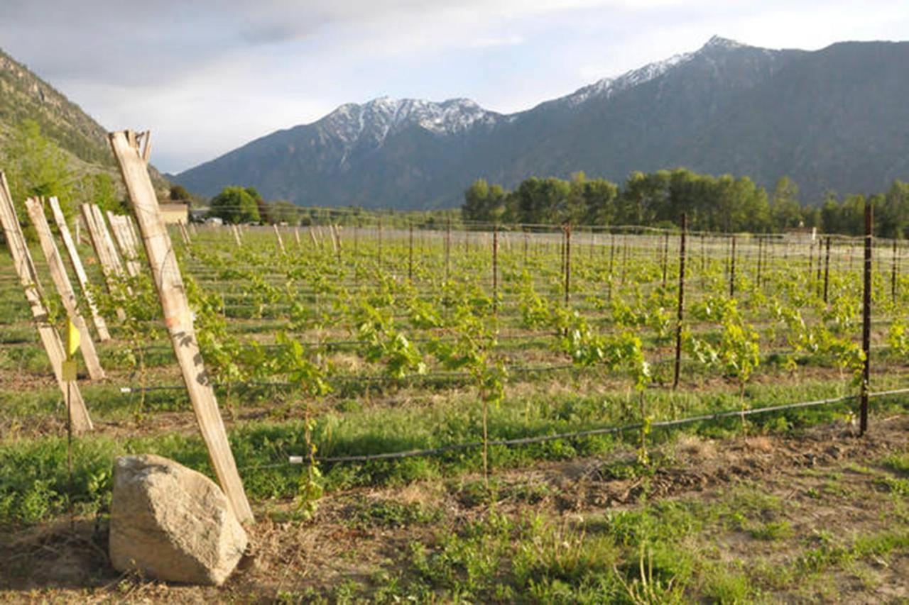 Similkameen Wild Resort & Winery Retreat Osoyoos Εξωτερικό φωτογραφία